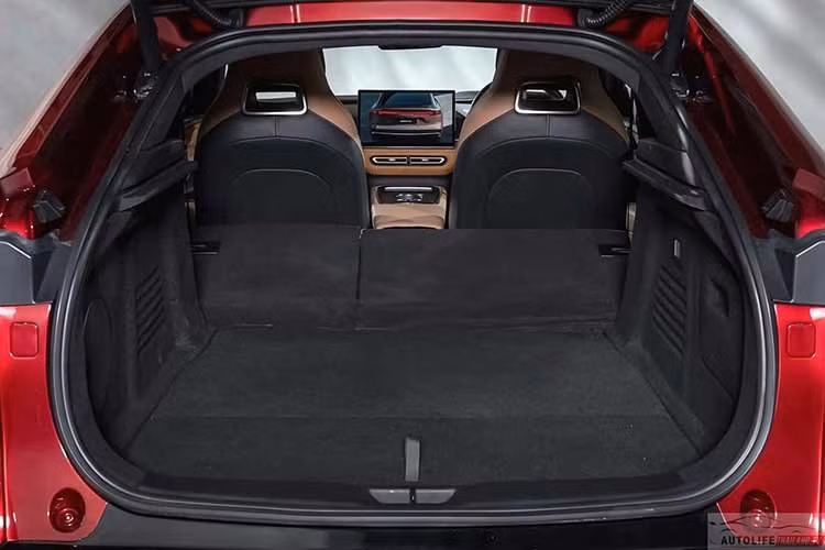 Khả năng tăng tốc 0–100 km/h trong 7,9 giây và tốc độ tối đa đạt 175 km/h. Xe hỗ trợ sạc AC tối đa 11 kW và sạc nhanh DC lên tới 194 kW. Theo công bố, xe có thể sạc từ 30% lên 80% chỉ trong 15 phút, đồng thời chỉ cần 15 phút sạc để di chuyển khoảng 235 km.