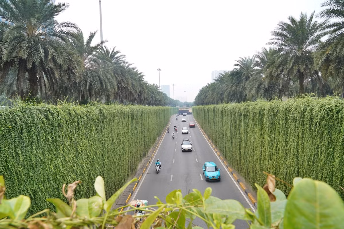 Hà Nội đang triển khai thí điểm bổ sung cây xanh tại một số công trình giao thông, từng bước đưa mảng xanh vào những không gian vốn chủ yếu là bê tông, sắt thép. Giải pháp này được kỳ vọng góp phần cải thiện cảnh quan đô thị, song hiệu quả lâu dài phụ thuộc vào phương án thiết kế, chăm sóc và bảo đảm an toàn công trình.