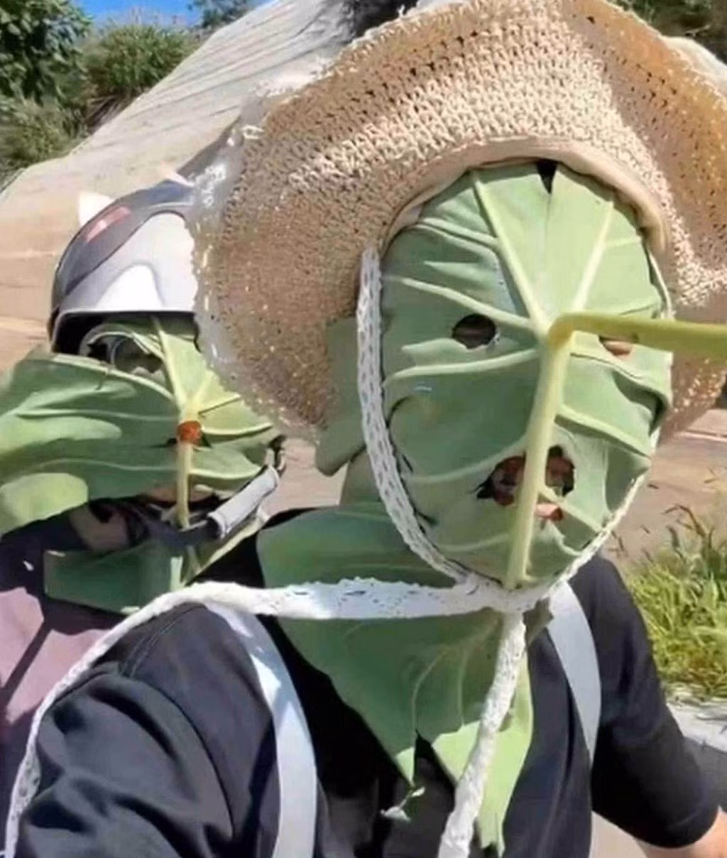 Mới đây, giới trẻ Trung Quốc thể hiện sự sáng tạo trong việc bảo vệ làn da khỏi tác hại của ánh nắng mặt trời bằng một sáng kiến cực độc đáo, đó là khẩu trang che kín mặt làm từ lá sen.