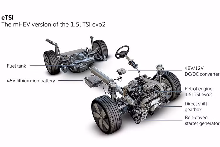 Đáng chú ý là phiên bản với hệ thống hybrid hoàn toàn đầu tiên của Volkswagen, đánh dấu một cột mốc quan trọng cho tập đoàn. Thiết lập này kết hợp động cơ TSI evo2 1,5 lít với một mô-đun điện và pin lithium-ion đặt dưới hàng ghế sau. Sẽ có hai mức công suất: 134 mã lực hoặc 168 mã lực , mỗi mức sản sinh mô-men xoắn 306Nm.