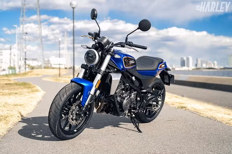 Harley-Davidson X350 sử dụng động cơ hai xi-lanh thẳng hàng 353cc, công suất 36 mã lực. Xe được trang bị phuộc ống lồng trước, giảm xóc đơn sau, phanh đĩa cả trước và sau, cùng hệ thống ABS tiêu chuẩn.