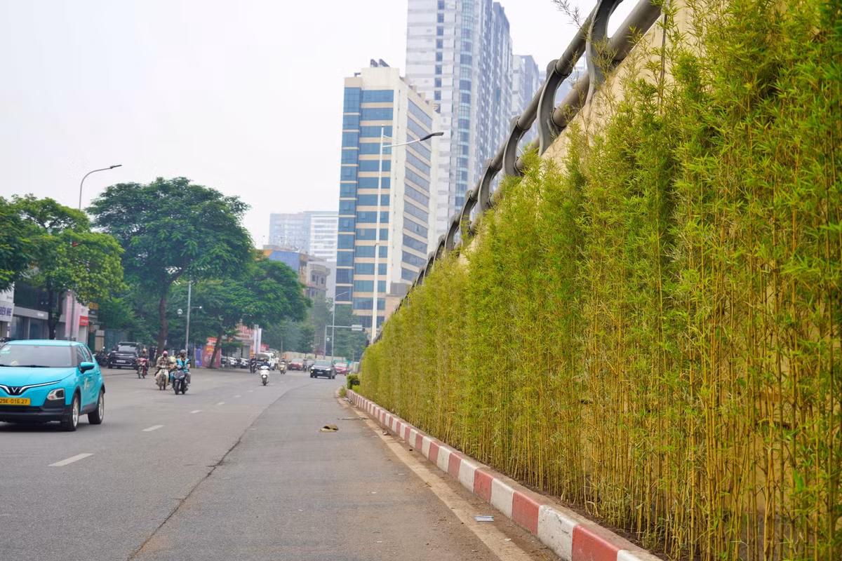 Cây xanh cũng dự kiến được bổ sung tại ba nhà chờ xe buýt trên đường Lê Thánh Tông, đường Trần Phú và khu vực số 69 Lý Thường Kiệt. Phương án bố trí bồn hoặc chậu cây ở phía sau, hai bên nhà chờ cần bảo đảm không chiếm dụng lối đi của người dân.