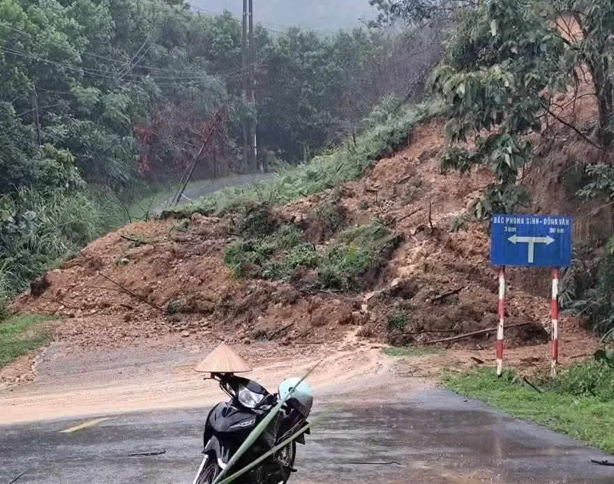1000000113.jpg