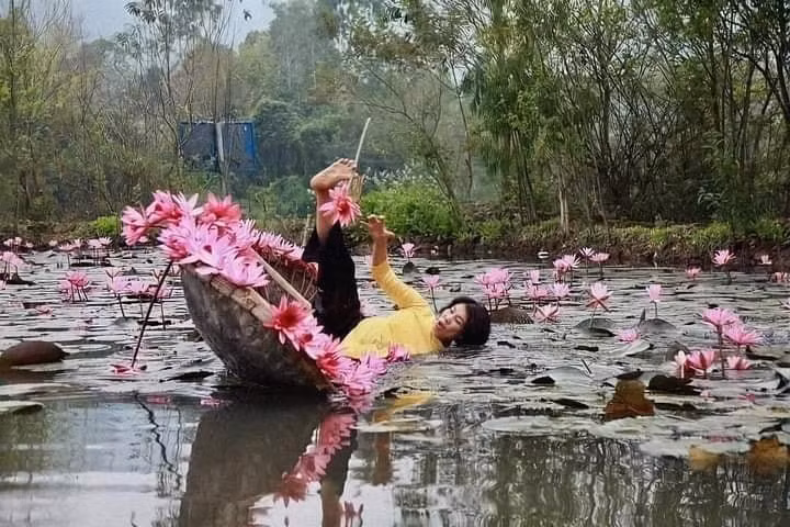 Hồ sen với vẻ đẹp thơ mộng, lãng mạn luôn là địa điểm lý tưởng cho những tín đồ nhiếp ảnh.