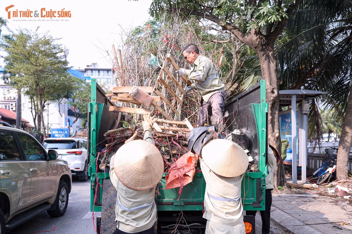 Yếu tố kinh tế cũng được nhắc đến như một nguyên nhân quan trọng. Trong bối cảnh nhiều gia đình phải thắt chặt chi tiêu, các khoản mua sắm Tết được cân nhắc kỹ hơn, ưu tiên nhu cầu thiết yếu. Việc bỏ ra vài triệu đồng cho một cành đào đẹp không còn là lựa chọn của nhiều người như trước.