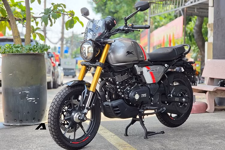 TVS Ronin 225 tại Việt Nam là mẫu xe môtô đến từ thương hiệu Ấn Độ, được nhập khẩu trực tiếp từ Indonesia thông qua một đơn vị kinh doanh xe tư nhân tại TP.HCM. Xe được phân phối với hai biến thể là Tiêu chuẩn và Nimbus, chủ yếu khác biệt về cách phối màu và hoàn thiện chi tiết, trong khi cấu hình động cơ và khung gầm được giữ nguyên.