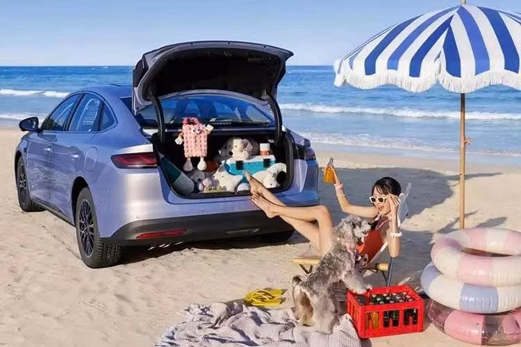 Hai loại pin này cung cấp phạm vi di chuyển thuần điện lần lượt là 140 km và 220 km theo chu trình thử nghiệm CLTC. Thời gian sạc pin từ 30% lên 80% chỉ mất khoảng 20 phút. BYD cho biết xe có tổng phạm vi di chuyển kết hợp lên tới 2.290 km khi đổ đầy bình nhiên liệu và sạc đầy pin. Trong khi đó, mức tiêu thụ nhiên liệu của xe chỉ dừng ở mức 2,58 lít/100 km khi pin đã cạn theo chu trình NEDC.