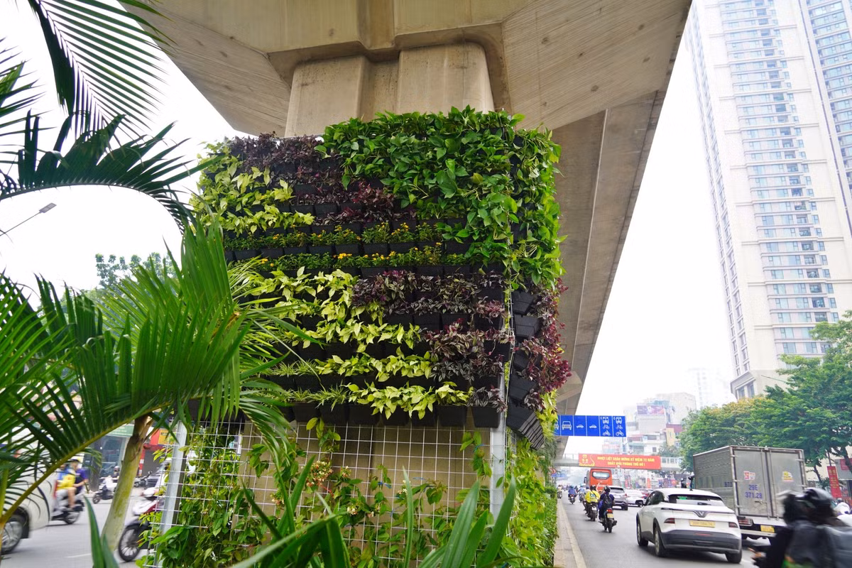 Đáng chú ý, hệ giàn thép được thiết kế ôm quanh thân trụ nhưng không khoan, đục vào kết cấu bê tông. Khoảng cách giữa giàn thép và bề mặt trụ được bố trí nhằm tạo điều kiện cho cây phát triển, đồng thời thuận tiện kiểm tra, theo dõi hiện trạng công trình.