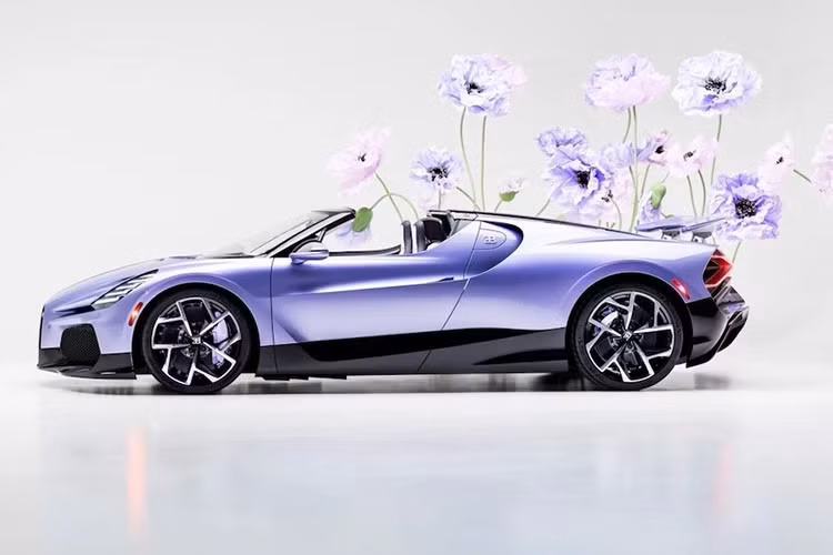 Chiếc xe hoàn thiện, được biết đến với tên gọi W16 Mistral 'Caroline', đặt theo con gái của vị đại gia bí ẩn đã đặt hàng chiếc xe. Ngoại thất được phủ một lớp sơn màu tím oải hương đặc trưng, ​​tương phản với các chi tiết sợi carbon lộ ra ở cản trước và ốp sườn.