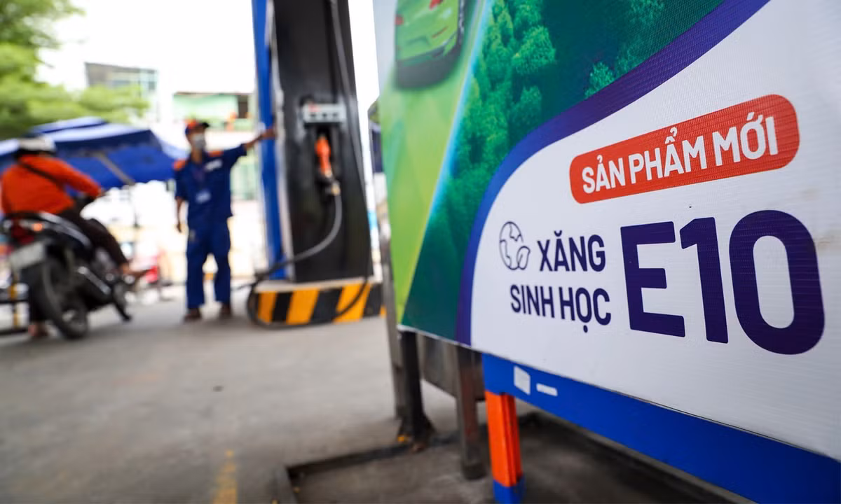 xang-e10-09304683-1773976806238-1773976806565773261176.jpg