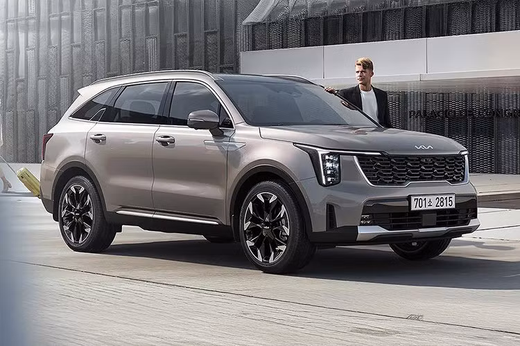 Tại thị trường Việt Nam, Kia Sorento hiện đang được Thaco lắp ráp trong nước và là một trong những mẫu SUV cỡ trung có doanh số khá ổn định. Dòng sản phẩm này được ưa chuộng nhờ thiết kế bề thế, nhiều tùy chọn cấu hình 7 chỗ và giá bán cạnh tranh.