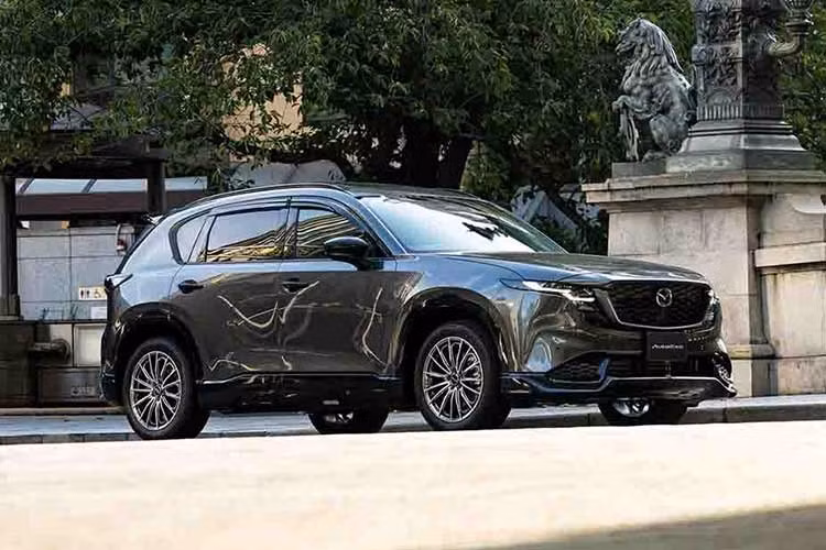 Tại thị trường Việt Nam, Mazda CX-5 đang cạnh tranh trong phân khúc SUV cỡ C với những cái tên như Hyundai Tucson, Ford Territory, Honda CR-V và Mitsubishi Destinator. Thế hệ mới với thay đổi về thiết kế, trang bị và hệ truyền động được kỳ vọng sẽ tiếp tục thu hút sự quan tâm của khách hàng.