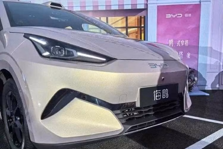 Với kích thước tăng mạnh, BYD Seagull thế hệ mới mang đến không gian nội thất rộng rãi hơn, đồng thời tăng số chỗ ngồi từ 4 lên 5. Bên trong xe, khoang nội thất có bố cục theo phương ngang, sử dụng vật liệu được hoàn thiện tinh tế. Xe có 3 phối màu nội thất mới, gồm trắng, hồng và xám.