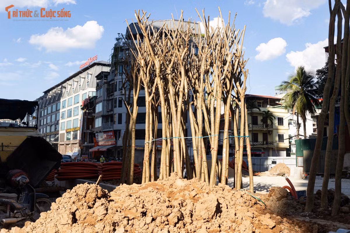 Một số đoạn dải phân cách đã hoàn thiện và được phủ xanh.
