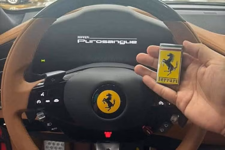 Vô lăng xe có núm chuyển chế độ lái quen thuộc Mannetino của Ferrari, cùng nhiều nút bấm khác. Nhưng dù mang dáng SUV và có hệ dẫn động 4 bánh, đừng mong tìm được chế độ lái địa hình ở đây. Khách hàng có thể lựa chọn giữa nhiều sự kết hợp của da, Alcantara và trang trí bằng sợi carbon. Mui bằng sợi carbon cũng là tiêu chuẩn, với tuỳ chọn mui kính đổi màu bằng điện.
