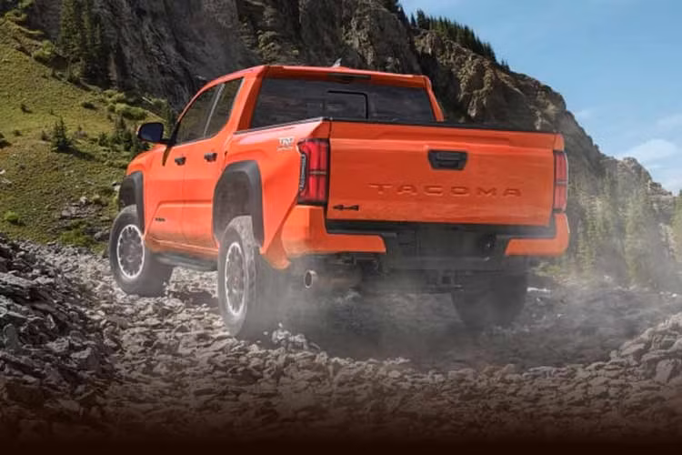 Với đời 2025, Tacoma đứng thứ 7 trong top 12 mẫu xe bền bỉ nhất theo Consumer Reports với mức độ tin cậy cao hơn mức trung bình. Mẫu xe bán tải cỡ trung này cũng ghi điểm ở khảo sát mức độ hài lòng của người dùng nhờ khả năng off-road tốt và hệ thống điều khiển dễ sử dụng. Xe có 3 tùy chọn động cơ xoay quanh máy xăng 4 xi-lanh, tăng áp, dung tích 2.4L, đi kèm hộp số sàn 6 cấp hoặc tự động 8 cấp.