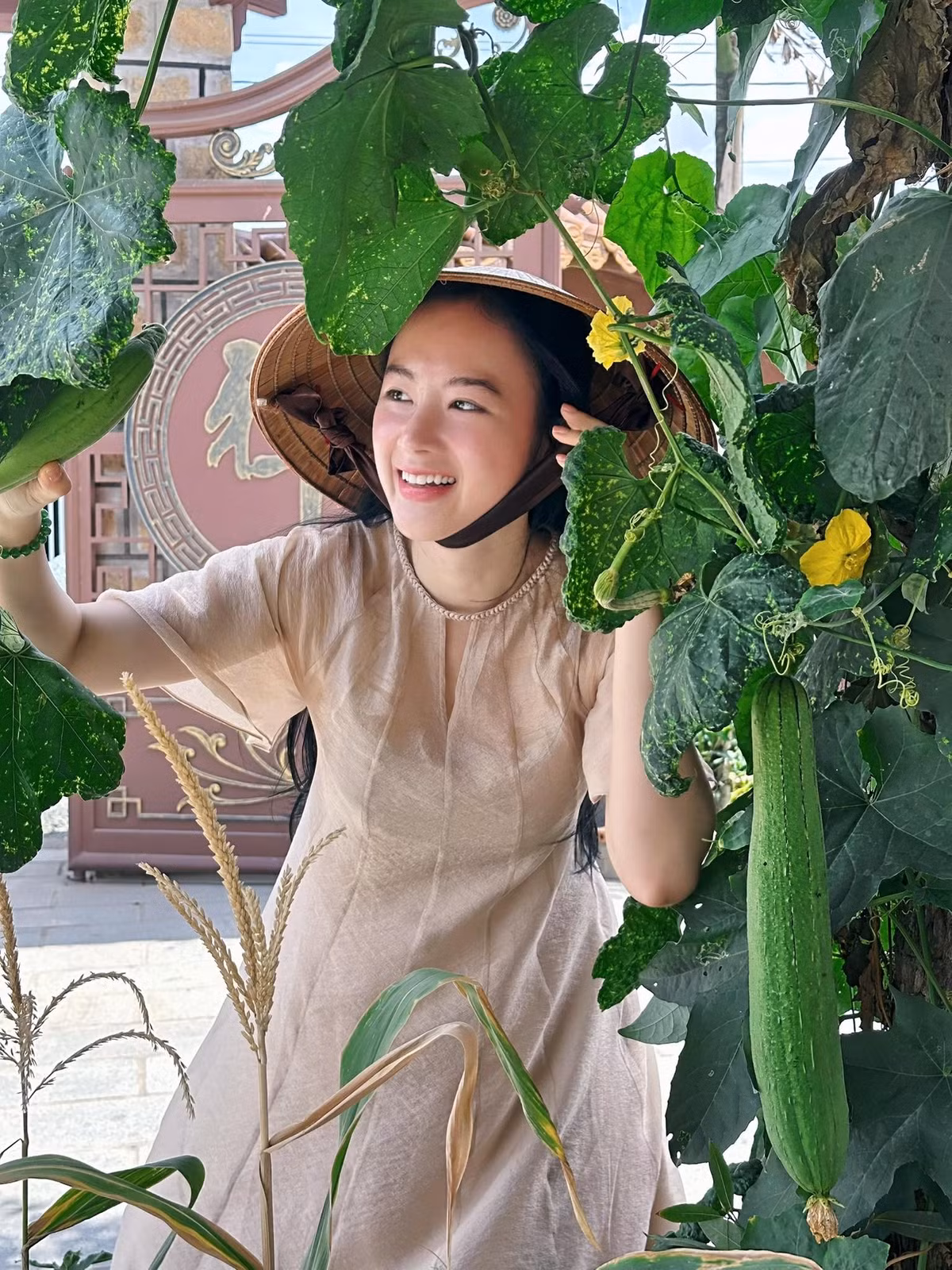 Angela Phương Trinh luôn được đánh giá cao về nhan sắc. Sự kết hợp giữa vẻ đẹp của cô và nét đẹp của hoa loa kèn tạo nên một bức tranh hài hòa, gợi cảm giác về sự hoàn mỹ.
