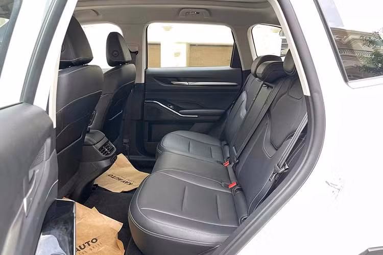 Haval H6 tại Việt Nam được nhập khẩu nguyên chiếc từ Thái Lan và thuộc bản cao cấp nhất. Xe được trang bị hệ truyền động hybrid bao gồm máy xăng 4 xi-lanh, tăng áp, dung tích 1.5L và mô-tơ điện, cho tổng công suất 240 mã lực cùng mô-men xoắn cực đại 530 Nm. Lượng xăng tiêu thụ trung bình theo công bố của hãng chỉ dừng ở mức 18 km/lít (khoảng 5,5 lít/100 km). Xe còn có 4 chế độ lái là Tiêu chuẩn, Thể thao, Tiết kiệm và Đường trơn trượt.