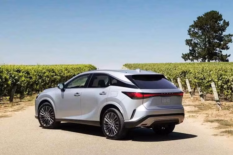 Cụ thể, trong quá trình tối ưu phiên bản mới của RX, Lexus đã sử dụng cơ sở thử nghiệm của hãng tại Nürburgring để thực hiện một số cải tiến đối với khung gầm, qua đó nâng cao độ ổn định và sự êm ái. Thương hiệu Nhật Bản cho biết đường đua được mệnh danh "Địa ngục Xanh” là địa điểm lý tưởng để tinh chỉnh những thay đổi này nhờ những đoạn đường nhấp nhô và bề mặt không đồng nhất.