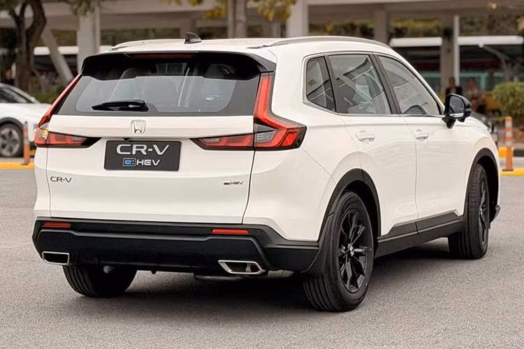 Về diện mạo, Honda CR-V e:HEV RS gần giống bản nhập Thái Lan trước đây, trong khi bản CR-V e:HEV L giống bản CR-V L (máy xăng) cũng đã được lắp ráp trước đó. Bản RS thể thao hơn với vòm bánh và tấm ốp cản dưới sơn màu đen bóng, khác với trước đây sơn cùng màu thân xe. Bản L dùng nhựa nhám ở dưới và không có đèn sương mù sau. Cả 2 bản đều dùng mâm 18 inch sơn đen.