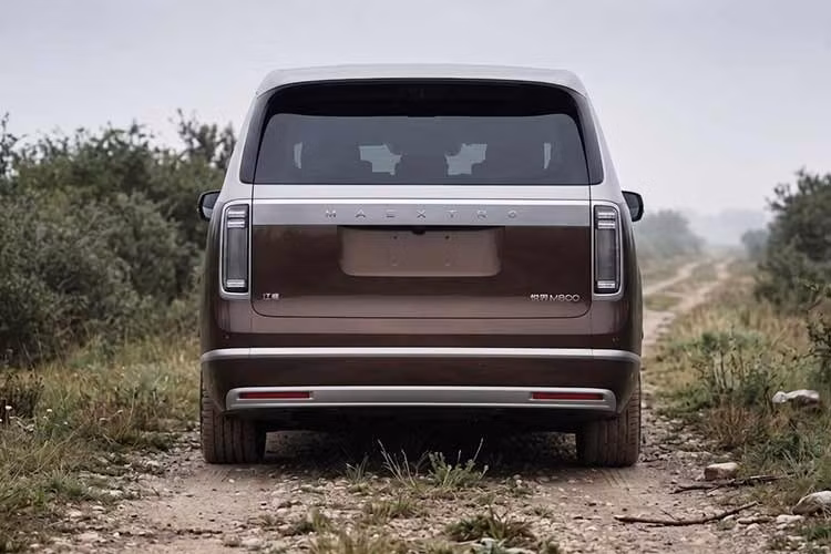 Thương hiệu này hướng tới cạnh tranh với các hãng siêu sang như Maybach hay Rolls-Royce. Do đó, Maextro đôi khi còn được gọi là “Rolls-Royce Trung Quốc”. Maextro S800 hiện đang gặt hái thành công lớn tại thị trường Trung Quốc. Thừa thắng xông lên, Maextro phát triển V800 như một mẫu MPV hạng sang cỡ lớn mà Rolls-Royce có lẽ không bao giờ sản xuất.