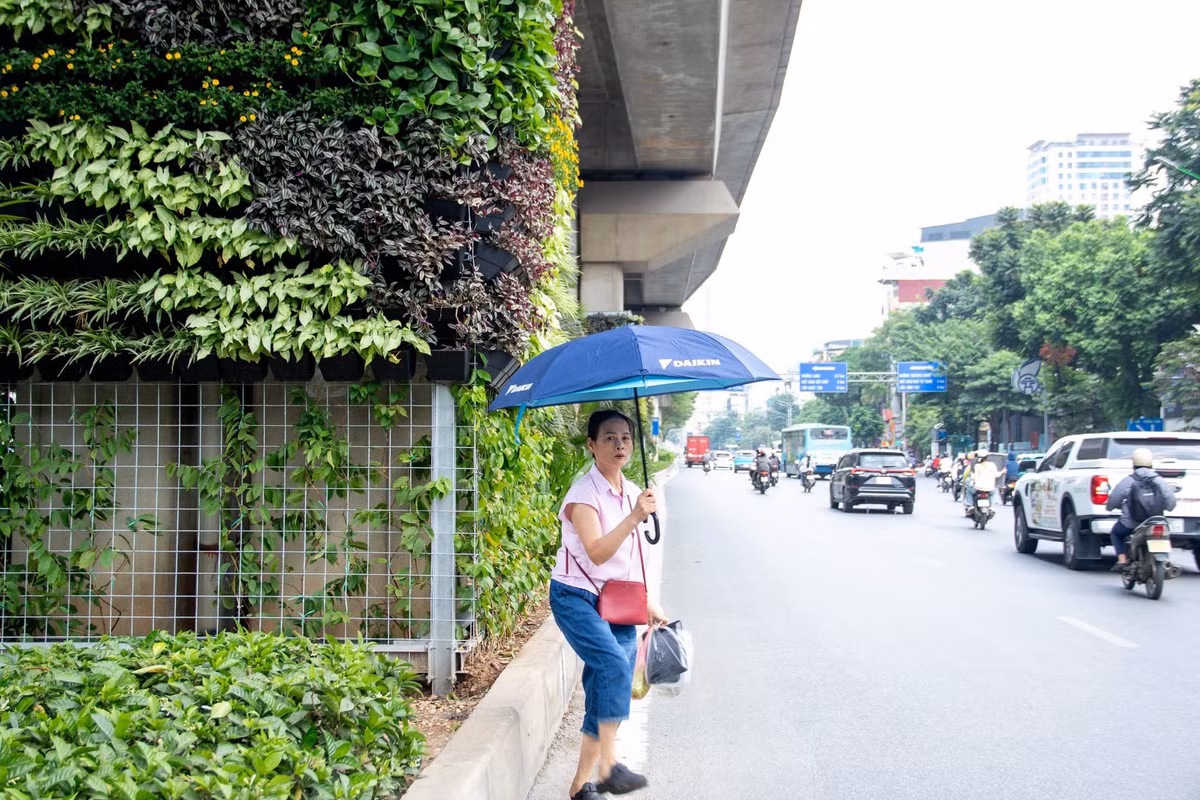 Việc đưa cây xanh vào các công trình giao thông được xem là giải pháp tận dụng những không gian hạ tầng sẵn có để bổ sung mảng xanh cho đô thị. Trong điều kiện quỹ đất dành cho không gian công cộng tại khu vực nội đô còn hạn chế, việc khai thác các vị trí như chân trụ cầu, mái taluy, thành hầm chui hay nhà chờ xe buýt mở ra thêm hướng cải thiện cảnh quan mà không cần tạo lập những khu đất xanh mới.