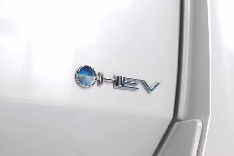 Gallery - [GALLERY] Toyota Land Cruiser Hybrid về Việt Nam sẽ "kèm lạc" gần 1 tỷ đồng? - image 9