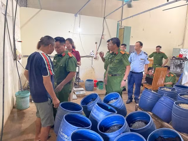 Lực lượng chức năng kiểm tra cơ sở sản xuất giá đỗ sử dụng chất cấm. Ảnh: Công an Hải Phòng.