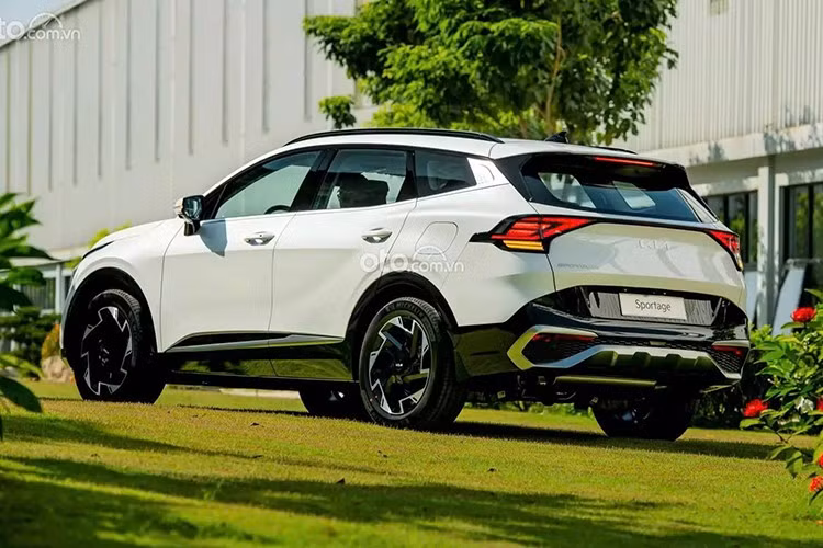 Nằm trong phân khúc SUV cỡ C, Kia Sportage hiện cạnh tranh với những đối thủ như Mazda CX-5, Ford Territory, Hyundai Tucson, Mitsubishi Destinator và Honda CR-V. So với những cái tên kể trên, mẫu xe nhà Kia có doanh số khiêm tốn hơn.
