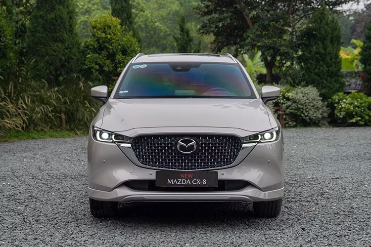 Sự thay đổi duy nhất trong bảng xếp hạng này chính là màn đổi vị trí giữa Mazda CX-8 và Hyundai SantaFe. Mẫu xe của Mazda đã đánh bại Hyundai SantaFe để giành lại vị trí thứ 3 với 207 xe giao đến tay khách hàng, tăng nhẹ so với doanh số tháng 5 (202 xe).