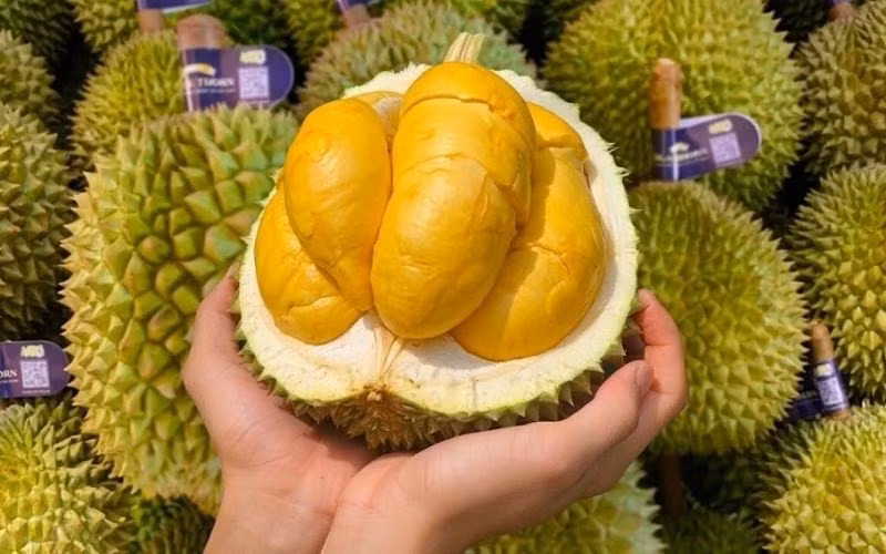 Gallery - Sầu riêng gai đen gần 1 triệu đồng/quả, vì sao vẫn hút khách - image 5