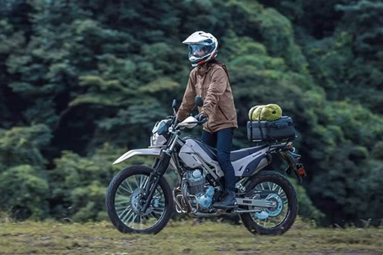 Hệ thống phanh và treo cũng được tinh chỉnh phù hợp, với KLX230SM sở hữu phanh đĩa trước 300 mm lớn hơn bản S (265 mm).