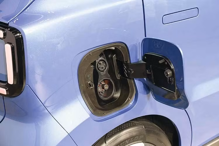 Trao đổi với tạp chí Autocar, Giám đốc Suzuki tại Anh, ông David Kateley, cho biết: "Phân khúc xe điện hạng A có ý nghĩa rất quan trọng. Đây là lần đầu tiên chúng tôi tham gia phân khúc này và tôi rất kỳ vọng vào tiềm năng của xe".