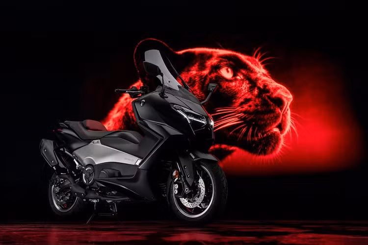Vào năm 2000, Yamaha đã chứng minh với cả thế giới rằng một mẫu maxi scooter cũng có thể mạnh mẽ và cho cảm giác lái thú vị như mô tô thông thường bằng cách lắp cho thế hệ đầu tiên TMax 500 động cơ lớn nhất với hộp số CVT thời đó.