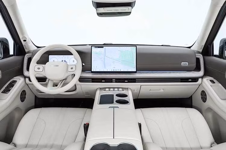 GWM công bố H10 có phạm vi di chuyển thuần điện 180 km theo tiêu chuẩn WLTC, tương đương 232 km theo chu trình CLTC. Tổng phạm vi hoạt động theo chuẩn CLTC đạt 1.404 km. Mức tiêu thụ nhiên liệu kết hợp theo tiêu chuẩn WLTC là 0,87 lít/100 km. Khi pin cạn, mức tiêu thụ nhiên liệu được công bố là 6,6 lít/100 km.