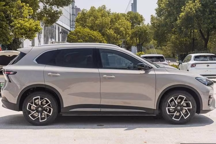 Các phiên bản LFP còn có khả năng sạc nhanh tốt hơn với công suất 150 kW trong khi con số tương ứng của pin bán thể rắn là 120 kW. Thời gian sạc nhanh DC từ 30% lên 80% của hai loại pin này lần lượt là 16 phút và 25 phút. Vì vậy, pin bán thể rắn hiện chưa mang lại nhiều lợi thế ngoài cảm giác yên tâm nhờ hóa học pin ổn định hơn và được cho là an toàn hơn.
