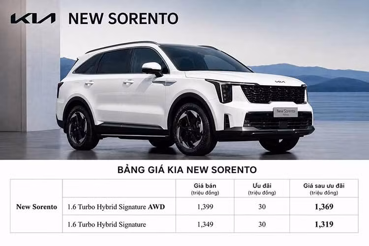Xe được áp dụng chế độ bảo hành 5 năm hoặc 150.000 km (tùy điều kiện nào đến trước) cho xe và 7 năm hoặc 150.000 km cho pin. Tại Việt Nam, Kia New Sorento Hybrid sẽ cạnh tranh các đối thủ như Hyundai SantaFe hybrid (1,369 tỷ đồng), Lynk &amp; Co 08 (1,289-1,389 tỷ đồng).