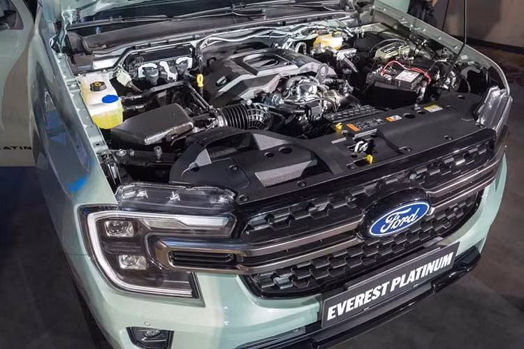 Ford trang bị cho cả bốn phiên bản Everest một số công nghệ hỗ trợ lái như phanh khẩn cấp tự động, cảnh báo va chạm phía trước, hỗ trợ tiền va chạm và đèn pha tự động. Các phiên bản cao hơn Active có thêm kiểm soát hành trình thích ứng, cảnh báo và hỗ trợ giữ làn, giám sát điểm mù kết hợp cảnh báo phương tiện cắt ngang.
