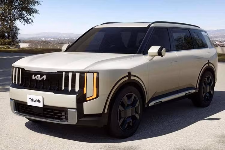 Phiên bản cao nhất của Kia Telluride thế hệ mới là X-Line SX Prestige (57.590 USD) kết hợp trang bị của X-Line SX và SX Prestige, hướng đến nhóm khách hàng muốn sở hữu đầy đủ tiện nghi và phong cách thể thao.