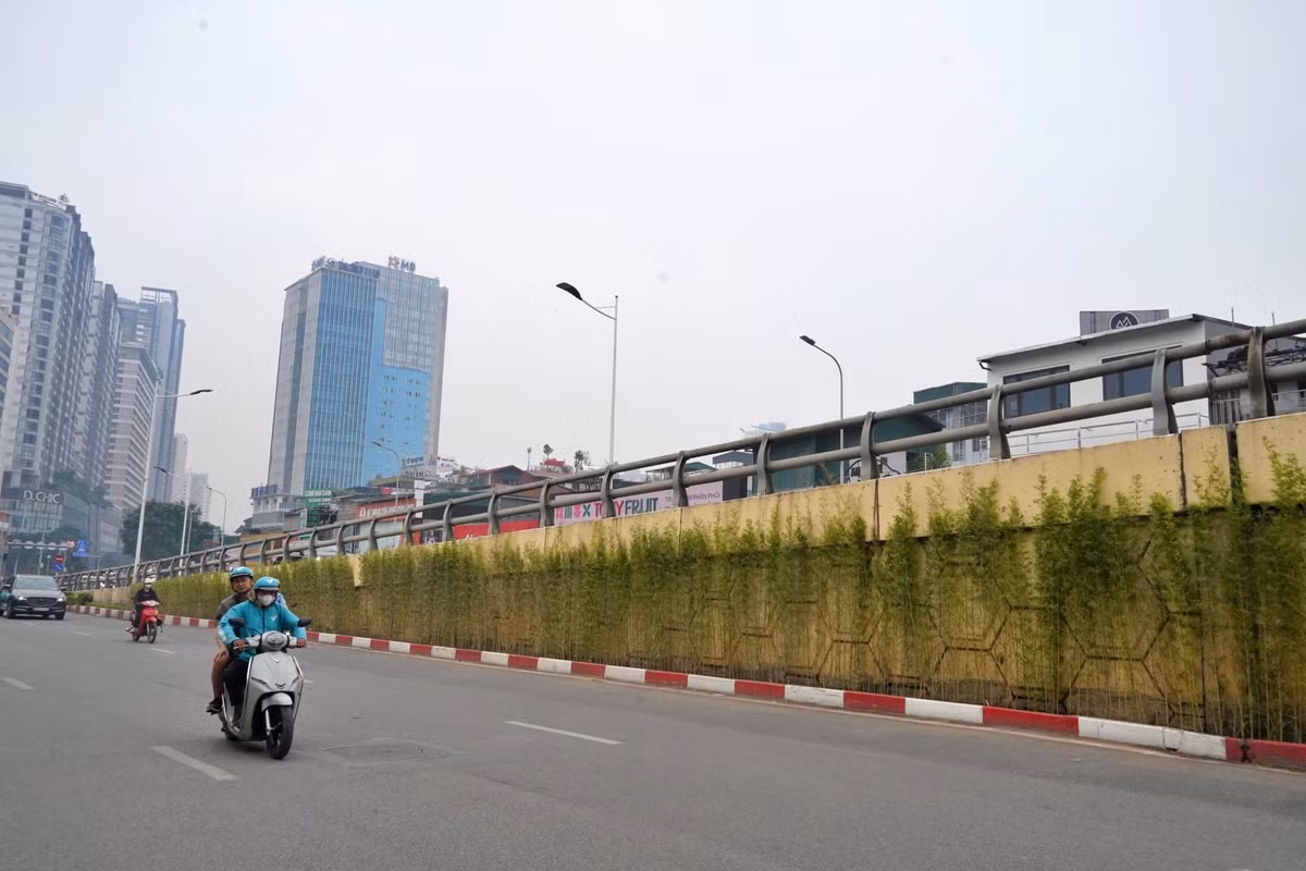 Trong khi đó, tại hầm chui Lê Văn Lương – Tố Hữu, phương án được công bố là bố trí các chậu cây thành từng cụm dọc mép trên thành hầm, phía dưới lan can, trên chiều dài khoảng 300 m.