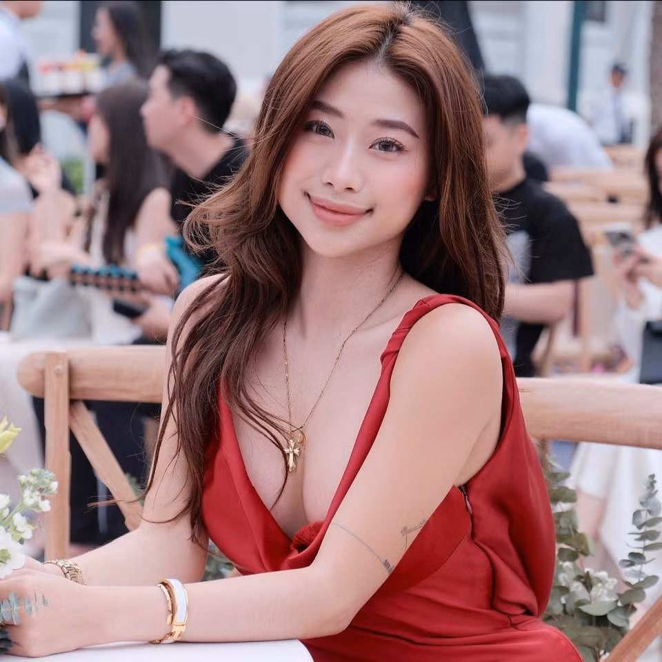 Cụ thể, nữ TikToker chia sẻ hình ảnh chuyển khoản tiền ủng hộ bà con vùng bão lũ, tuy nhiên, khi Mặt trận Tổ quốc Việt Nam tung "sao kê" nóng, dân mạng soi ra Louis Phạm chỉ ủng hộ 1 số tiền nhỏ hơn rất nhiều con số mà cô nàng đã khoe trên mạng, ảnh chụp màn hình chuyển tiền có dấu hiệu "photoshop".