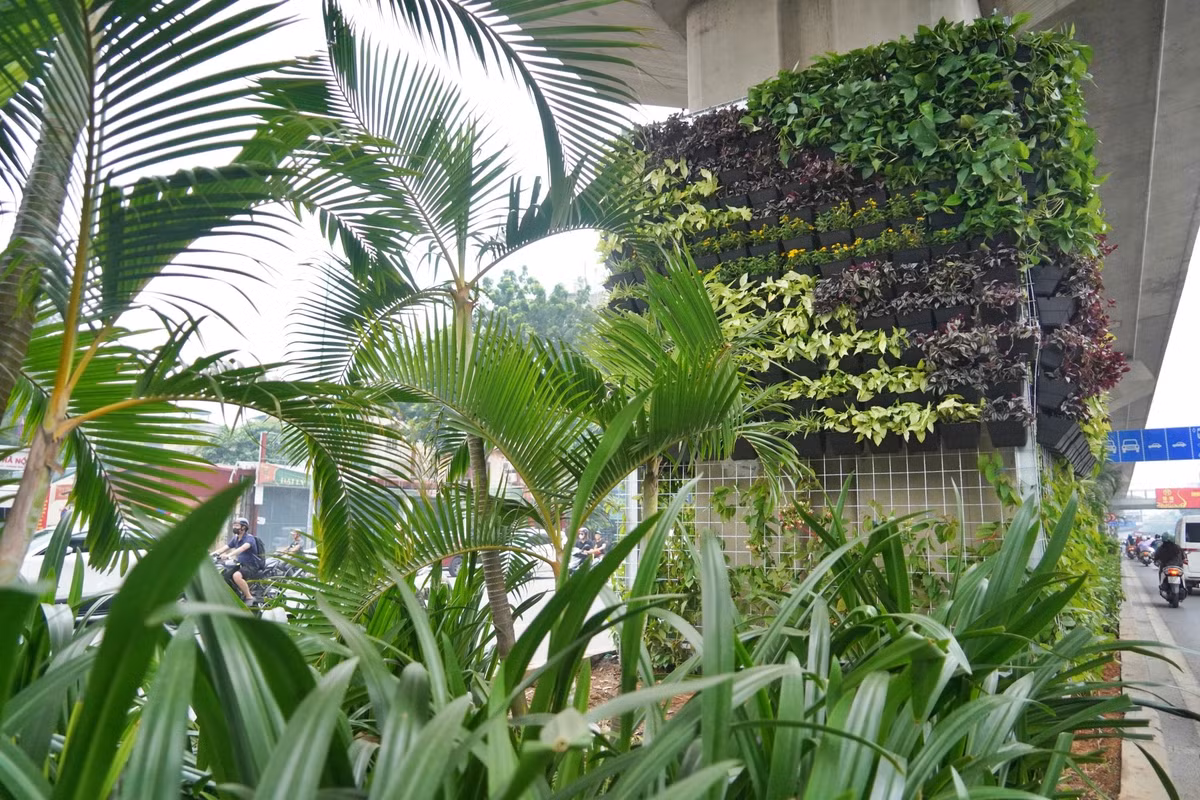 Tại cầu vượt Lê Văn Lương – Láng Hạ, các khu vực cây trồng cũ được cải tạo, thay thế bằng những hàng trúc bố trí dọc hai bên mái taluy và khu vực chân tường.