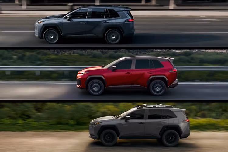 4-3911.jpg