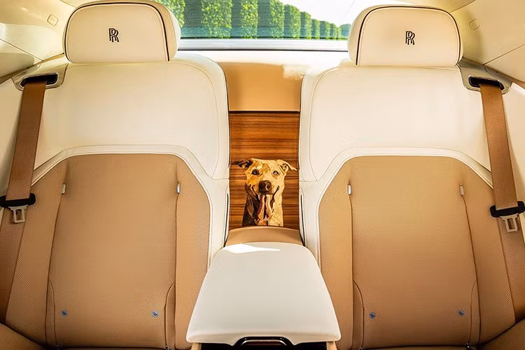 Chỉ biết rằng, Rolls-Royce Spectre sẽ có giá mặc định gần 400.000 đô la tại Hoa Kỳ. Phiên bản Black Badge cao cấp hơn có giá gần 470.000 đô la chưa bao gồm các tùy chọn bổ sung, nghĩa là một chiếc Spectre được trang bị tùy chọn khiêm tốn có giá bán lẻ là nửa triệu đô la.