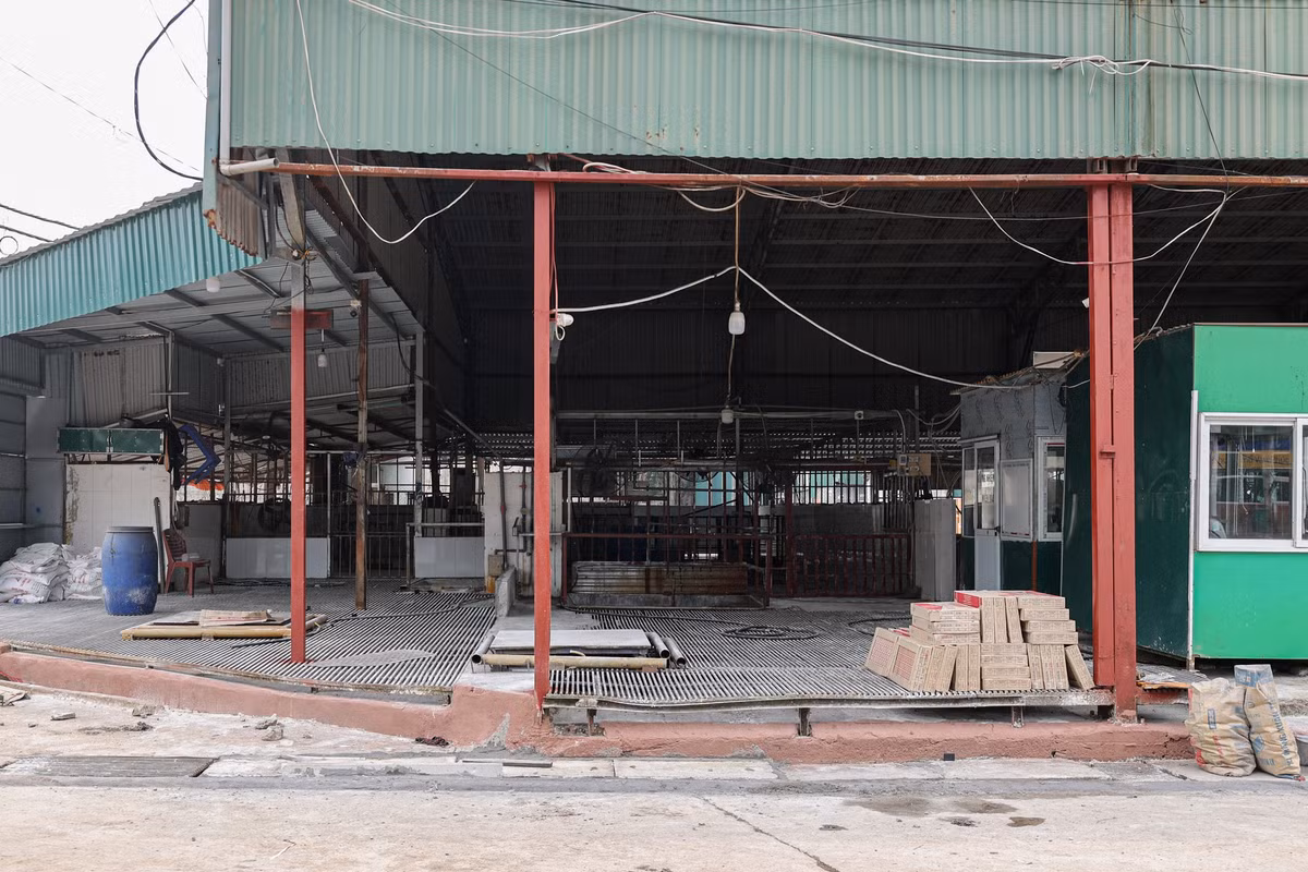 Theo cơ quan điều tra, Nguyễn Thị Hiền đã cùng một số đối tượng liên kết chặt chẽ, hình thành đường dây khép kín, thu gom lợn bệnh từ nhiều địa phương rồi vận chuyển về Hà Nội để tổ chức giết mổ tập trung.
