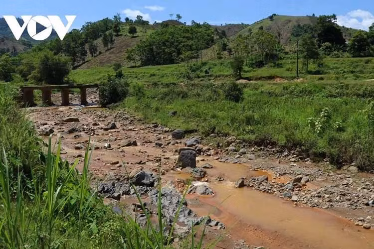 2-2549.jpg