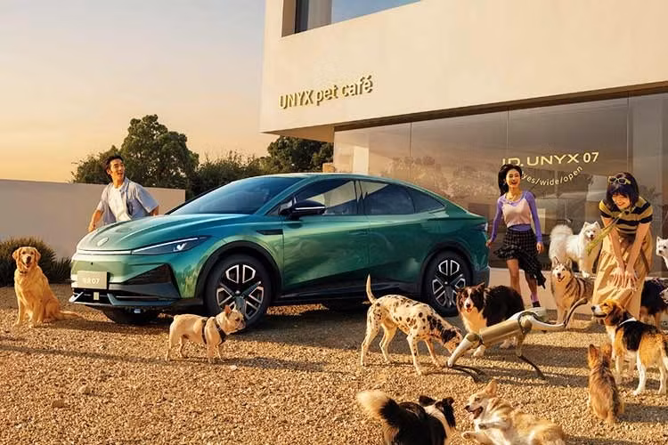 Volkswagen ID. Unyx 07 có giá khởi điểm từ 129.900 nhân dân tệ (504,1 triệu đồng) cho phiên bản Pure và 139.900 nhân dân tệ (542,9 triệu đồng) cho phiên bản Pure SE. Khách hàng đặt mua sớm có thể tận dụng mức giá ưu đãi ra mắt là 109.900 nhân dân tệ (426,5 triệu đồng) và 119.900 nhân dân tệ (465,3 triệu đồng) tương ứng.