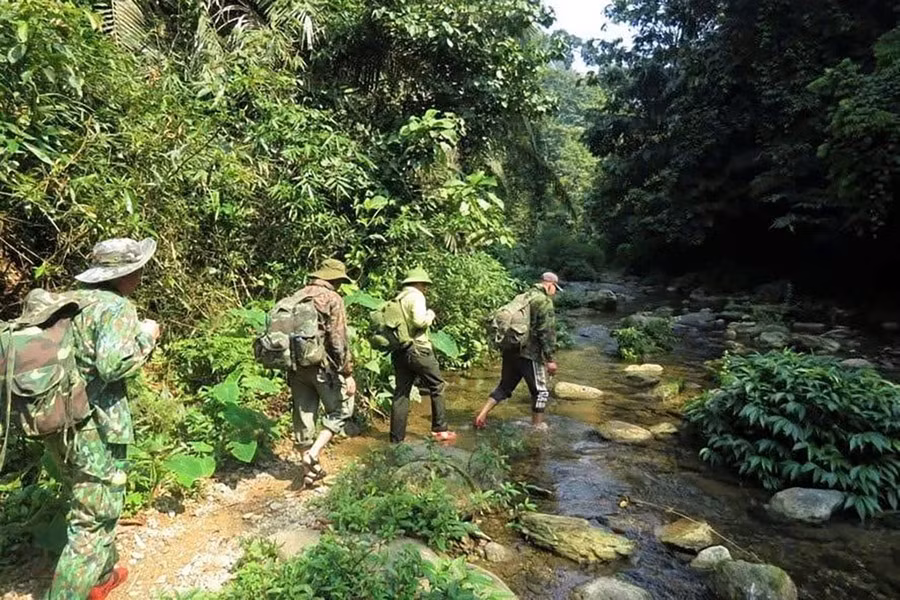 Để bảo vệ “nữ hoàng” rừng già, Khu bảo tồn thiên nhiên Pù Huống đang triển khai nhiều giải pháp như tăng cường tuần tra, tháo gỡ bẫy, giám sát quần thể bằng bẫy ảnh, kiểm soát nguồn gốc nuôi nhốt và đẩy mạnh truyền thông giáo dục cộng đồng về bảo vệ động vật hoang dã.