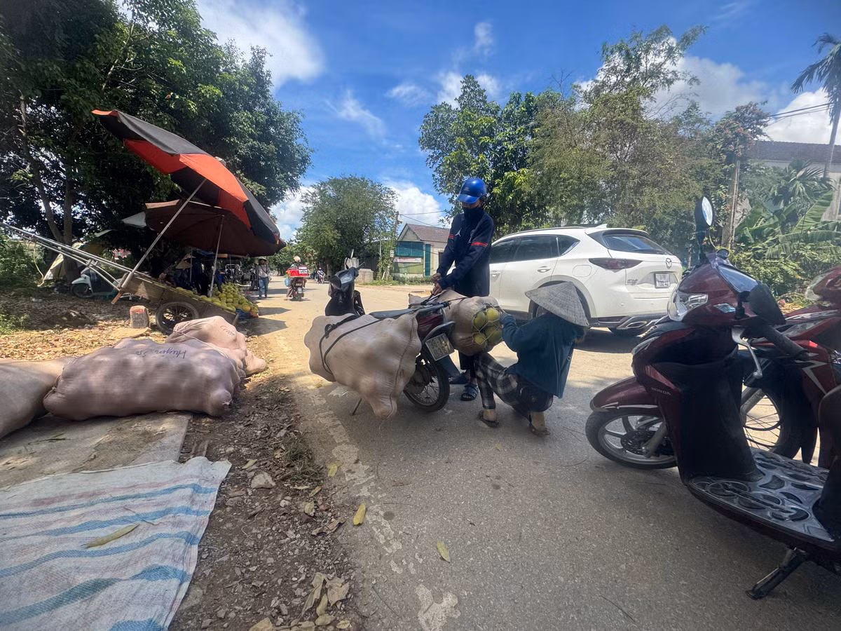 Đi ngược về xuôi, người dân Hương Khê đưa bưởi Phúc Trạch đi muôn nơi.