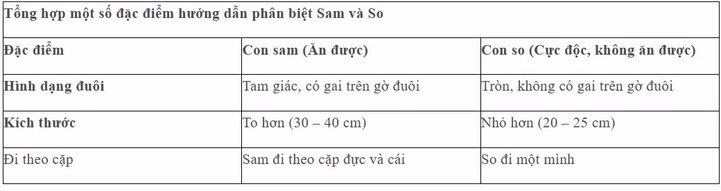 anh-chup-man-hinh-2025-06-10-144006.jpg